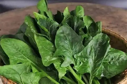 图片细节